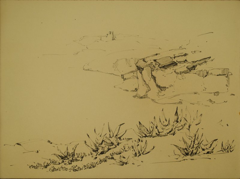 1927 ca. - Costa procidana con agavi
